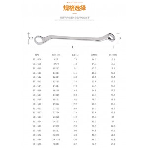 钢盾 S017606 公制精抛光双梅花扳手6x7mm