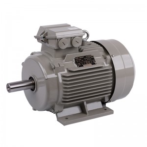 德东（DEDONG）卧式三相异步电动机 YE2-100L1-4-2.2KW /台   可定制