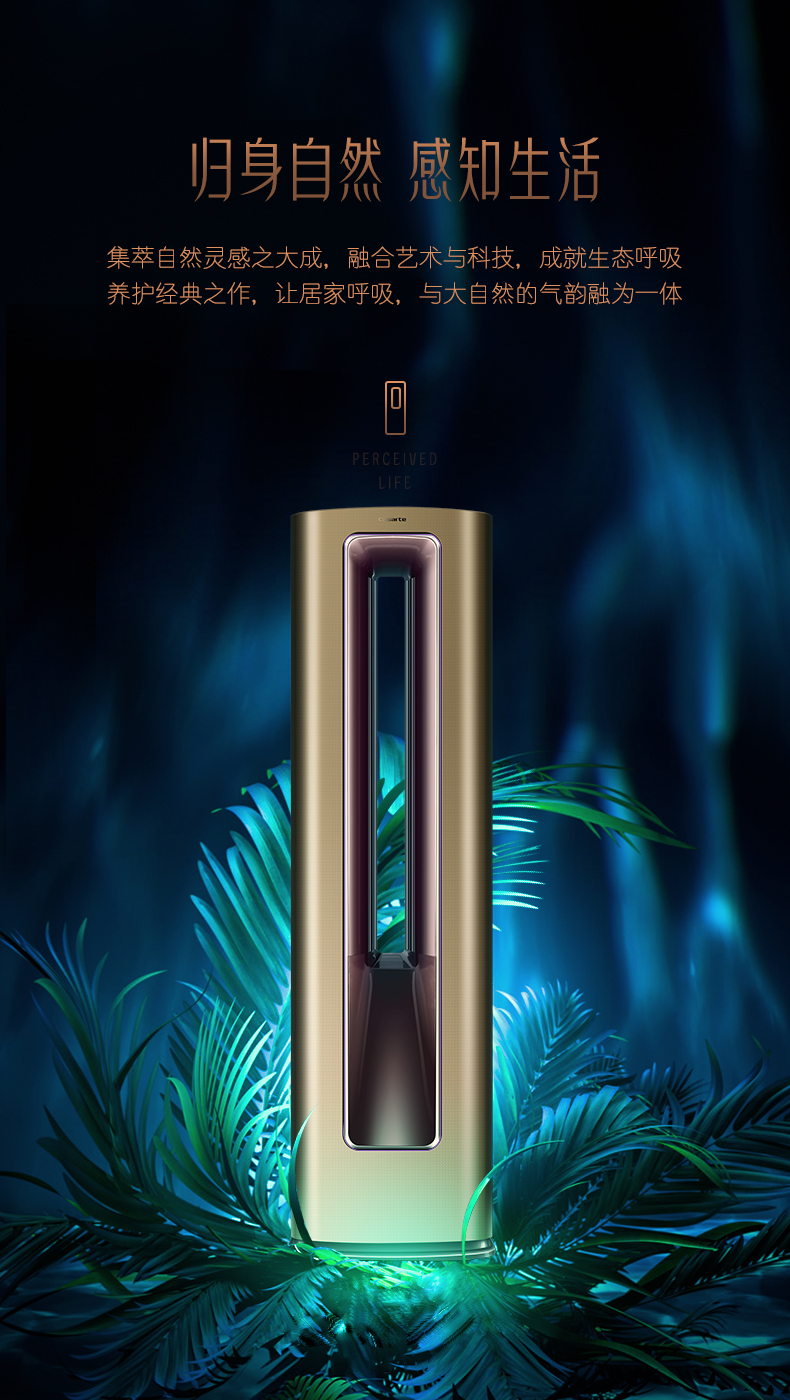 /image/catalog/collector/jingdong/2020/12/17100006358065-0f89589de78586029a6d42d5020b5b2f.jpg