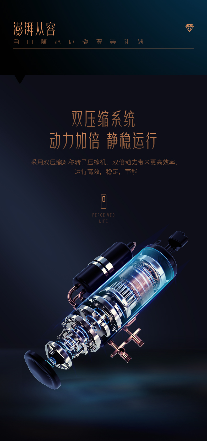 /image/catalog/collector/jingdong/2020/12/17100006358065-742da355343dd44918e14930c0256688.jpg