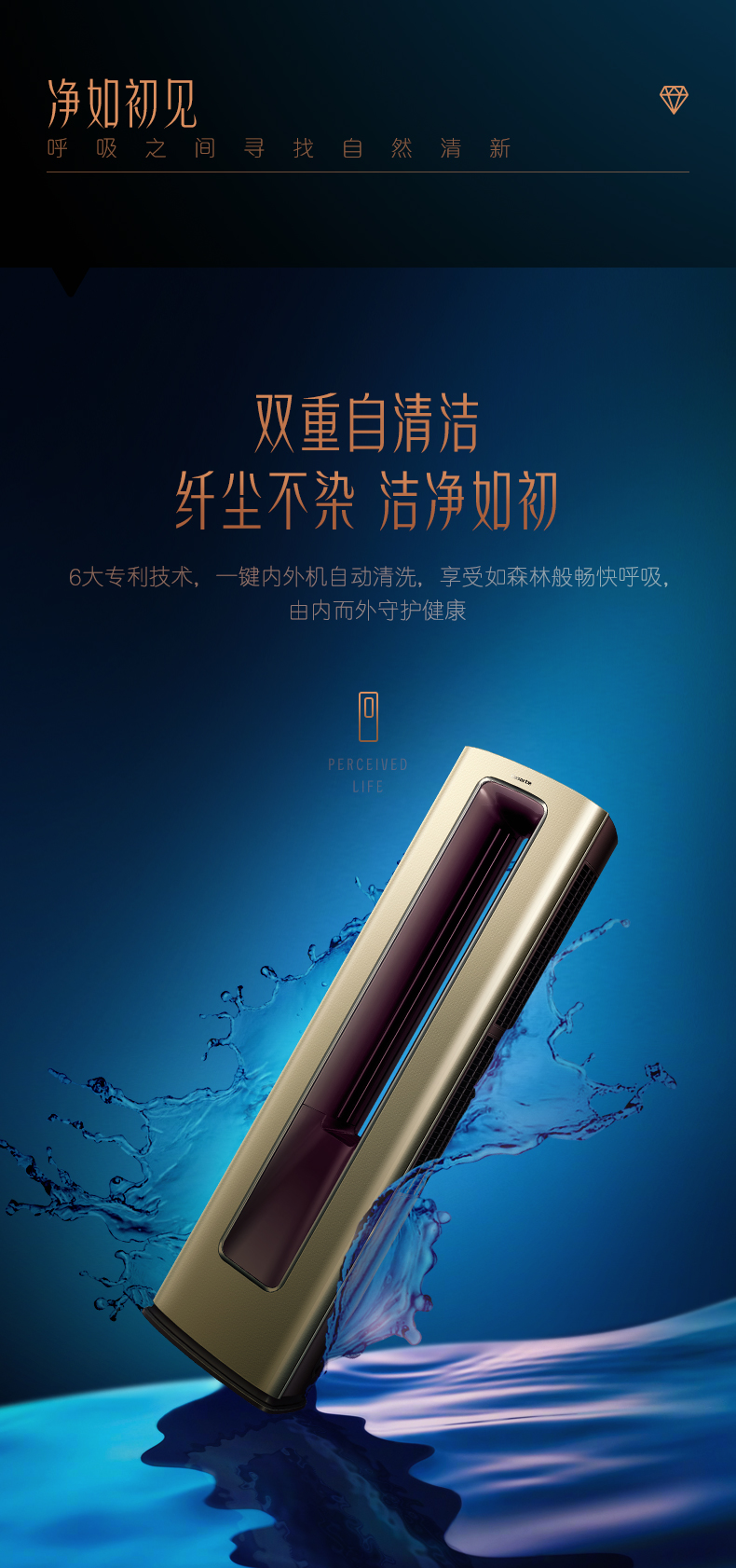 /image/catalog/collector/jingdong/2020/12/17100006358065-f3f8df6b6705dad6a380839942edbe50.jpg