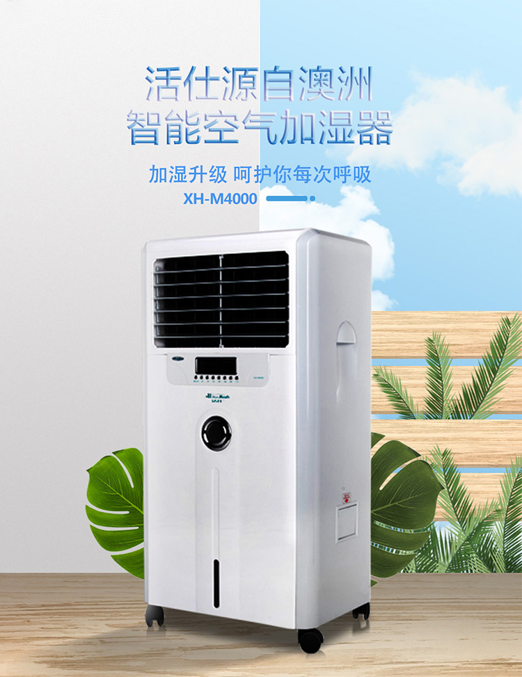 /image/catalog/collector/jingdong/2020/12/25913269-8d01890998b8544641082dfb38056fd5.jpg