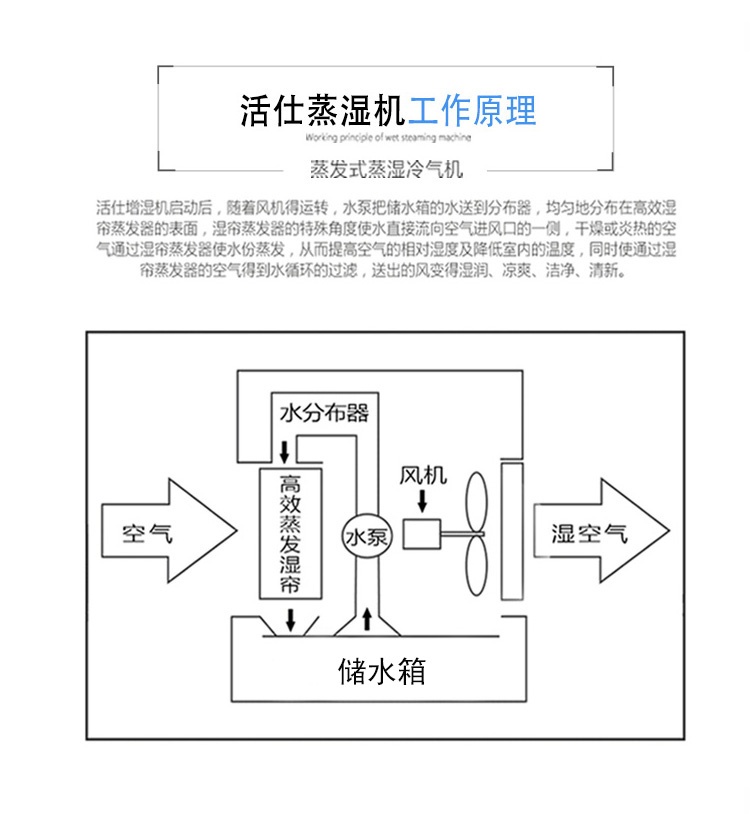 /image/catalog/collector/jingdong/2020/12/25913269-b97bb53d073535d07f6e0d96fec17a95.jpg